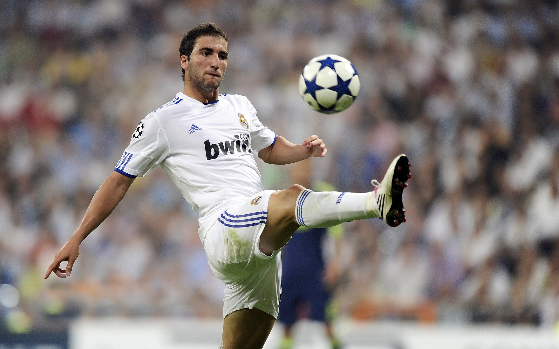 kaiyun.com-森林狼训练日球迷提前排队争睹球星风采，森林狼球员